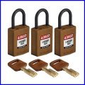 CPT-BRN-25PL-KA3PK-kompaktowe-klodki-brady-klucze-jednakowe-safekey-bezpieczny-klucz-brazowe.jpg